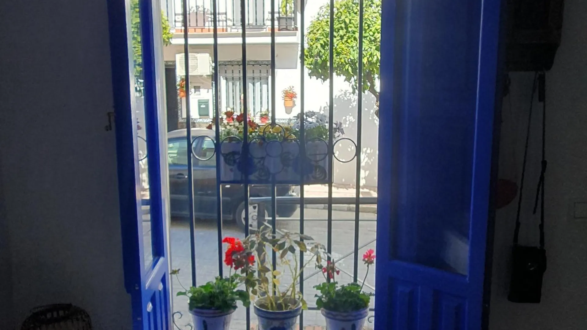 Casa Haarlemena Villa Monda España